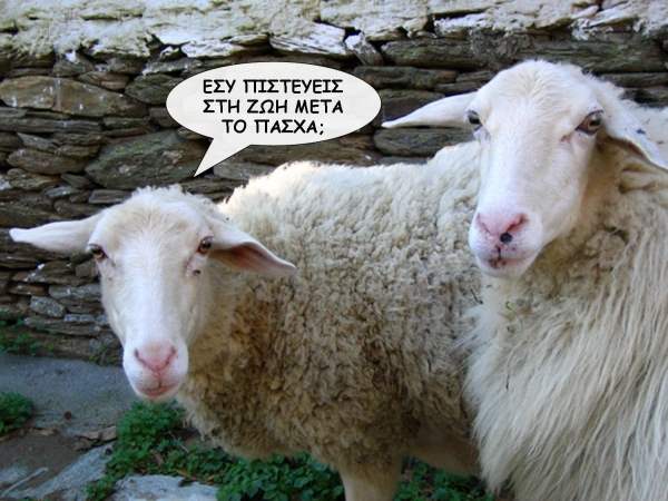 &Kappa;&Alpha;&Lambda;&Eta; &Alpha;&Nu;&Alpha;(&Sigma;)&Tau;&Alpha;&Sigma;&Eta; &Sigma;&rsquo; &Omicron;&Lambda;&Omicron;&Upsilon;&Sigma; &Mu;&Alpha;&Sigma; (&Omicron;&Iota; &Epsilon;&Upsilon;&Chi;&Epsilon;&Sigma; &Mu;&Pi;&Omicron;&Rho;&Omicron;&Upsilon;&Nu; &Nu;&Alpha; &Beta;&Gamma;&Omicron;&Upsilon;&Nu; &Alpha;&Nu; &Tau;&Omicron; &Theta;&Epsilon;&Lambda;&Eta;&Sigma;&Omicron;&Upsilon;&Mu;&Epsilon;)